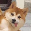唉