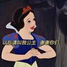 User428183787