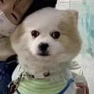李尔