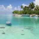 橙橙橙橙橙某人