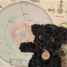 冬日限定🐻