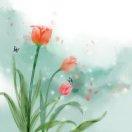 知世故而不世故