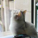 顺顺利利健健康康