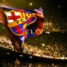 leo，yyds