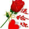 User507823144