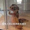竹舍