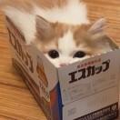 卡卡卡卡
