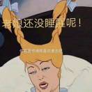 似水年华