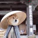 风波远我