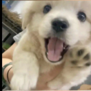 冬恋枝ᶻ .