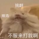 乐