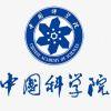 王者(一只羊)