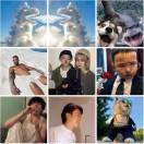 同遮不同柄／__