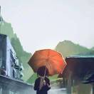 情深不瘦