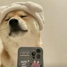 可我真的会后空翻