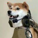 _