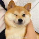 不开心