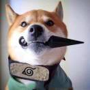 忍