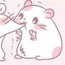 撸丫鸭