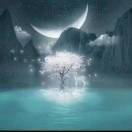 师大