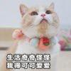 灬