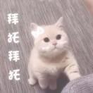 小王