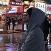 蓝桉