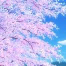 彼岸