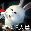 唐不甜