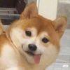 迪迦奥特曼