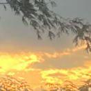 小小陈