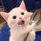 你的余额不足请充值