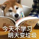 Sylvia璇