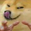 www.ddd