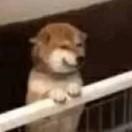 啊这