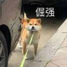 悲伤的Xoe
