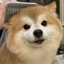 风筝
