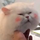 ll