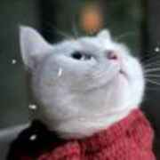 林熙柚_XingheRiver