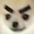 成为奥特曼吧！