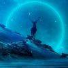 浅梦墨汐