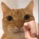 暗毅