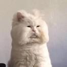 ！