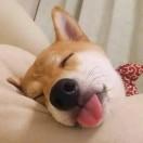 念