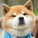 愛を待つ