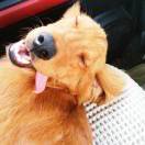 悬崖边的一只手