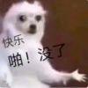 烤熟的地瓜