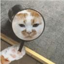 遗憾乃世间常态