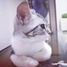 中