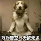 狸猫换太子